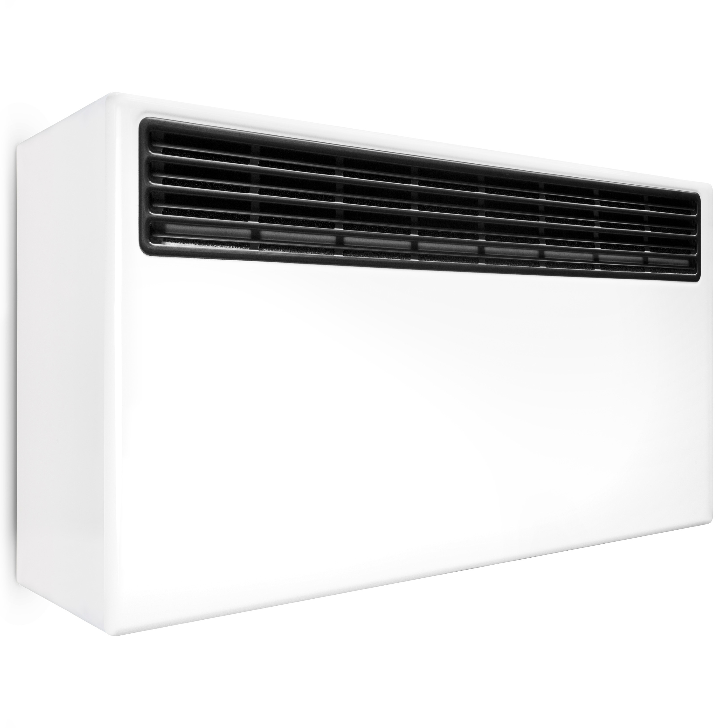 Zwembadluchtontvochtiger DS 60